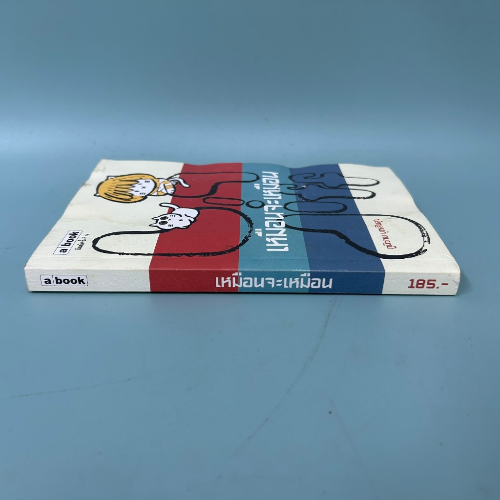 เหมือนจะเหมือน Big Diff / มือสอง / ภูมิชาย บุญสินสุข / ภาษา abook