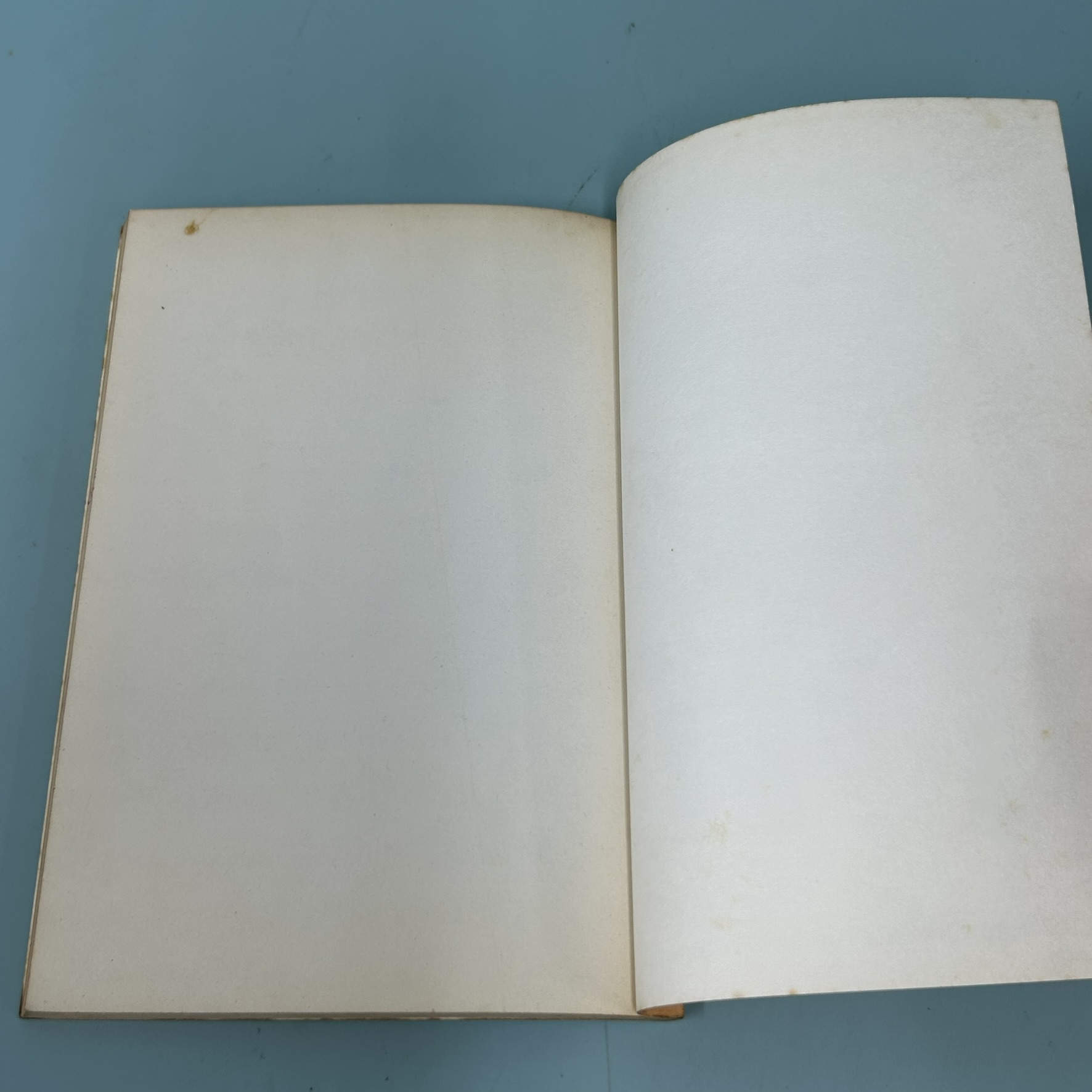 บ้านความรัก / มือสอง / จูดี้ บลูม / สำนักพิมพ์หิ่งห้อย / วรรณกรรมเยาวชน