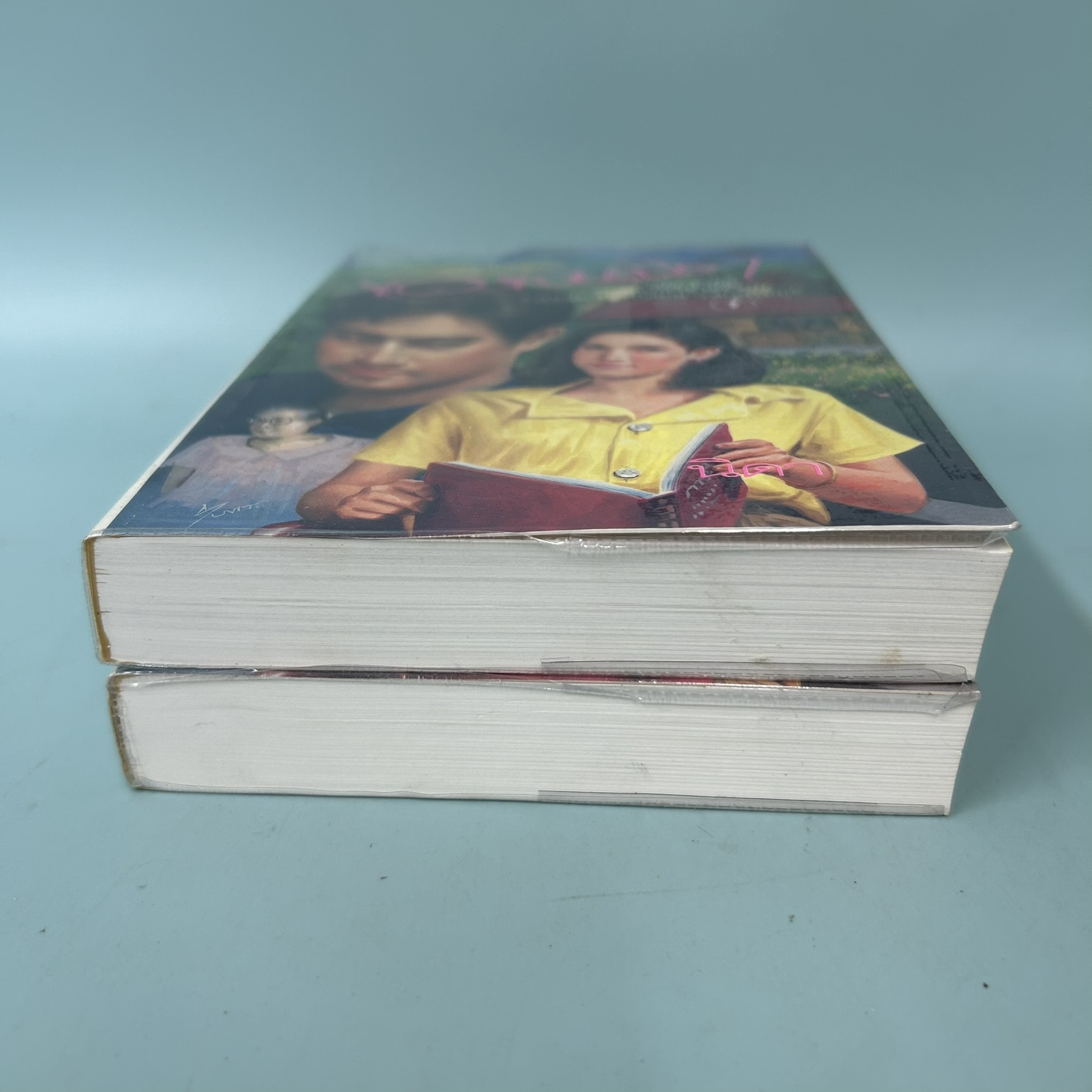 รักเดียวของเจนจิรา 1-2 เล่มจบ / มือสอง / นิดา / สำนักพิมพ์หมึกจีน / นวนิยาย