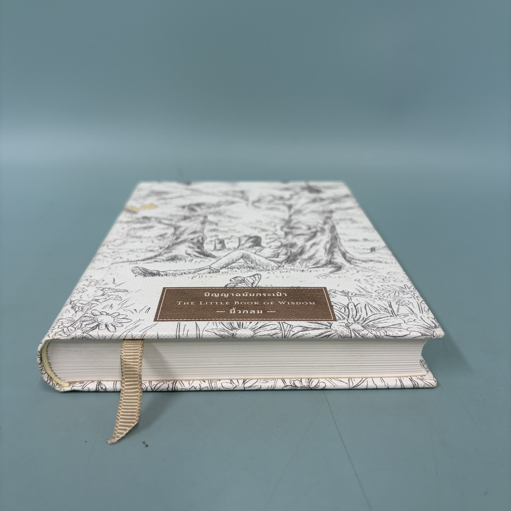 ปัญญาฉบับกระเป๋า THE LITTLE BOOK OF WISDOM / มือสอง / นิ้วกลม / KOOB / การพัฒนาตัวเอง ปกแข็ง