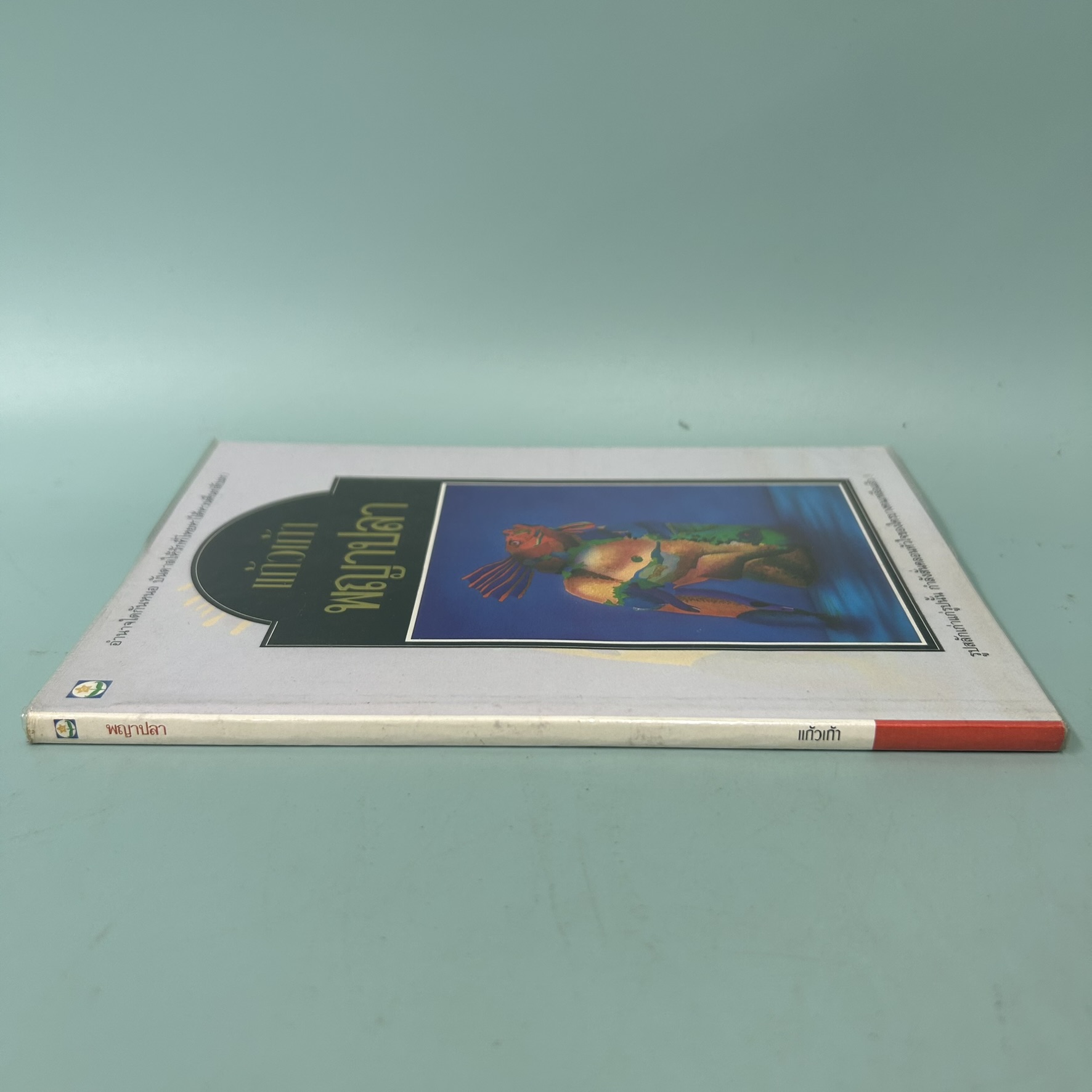 พญาปลา / มือสอง / แก้วเก้า / สำนักพิมพ์ ดอกหญ้า / นิยายโรแมนติก