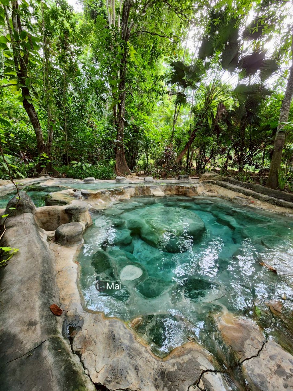 🌿 One-Day Jungle Adventure – Hot Spring, Emerald Pool & Tiger Cave Temple (Program 2)
