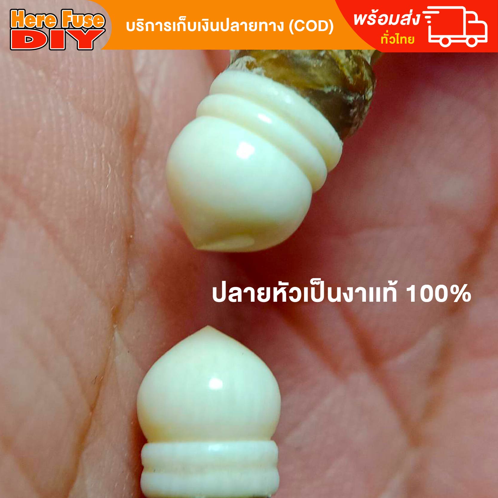 กำไลขนหางช้างแท้ 100% ขนาด Free Size ใส่ได้ทั้งชาย-หญิง ใส่ได้สบาย ๆ รุ่น H01 [ของเเท้100%] HereFuse DIY