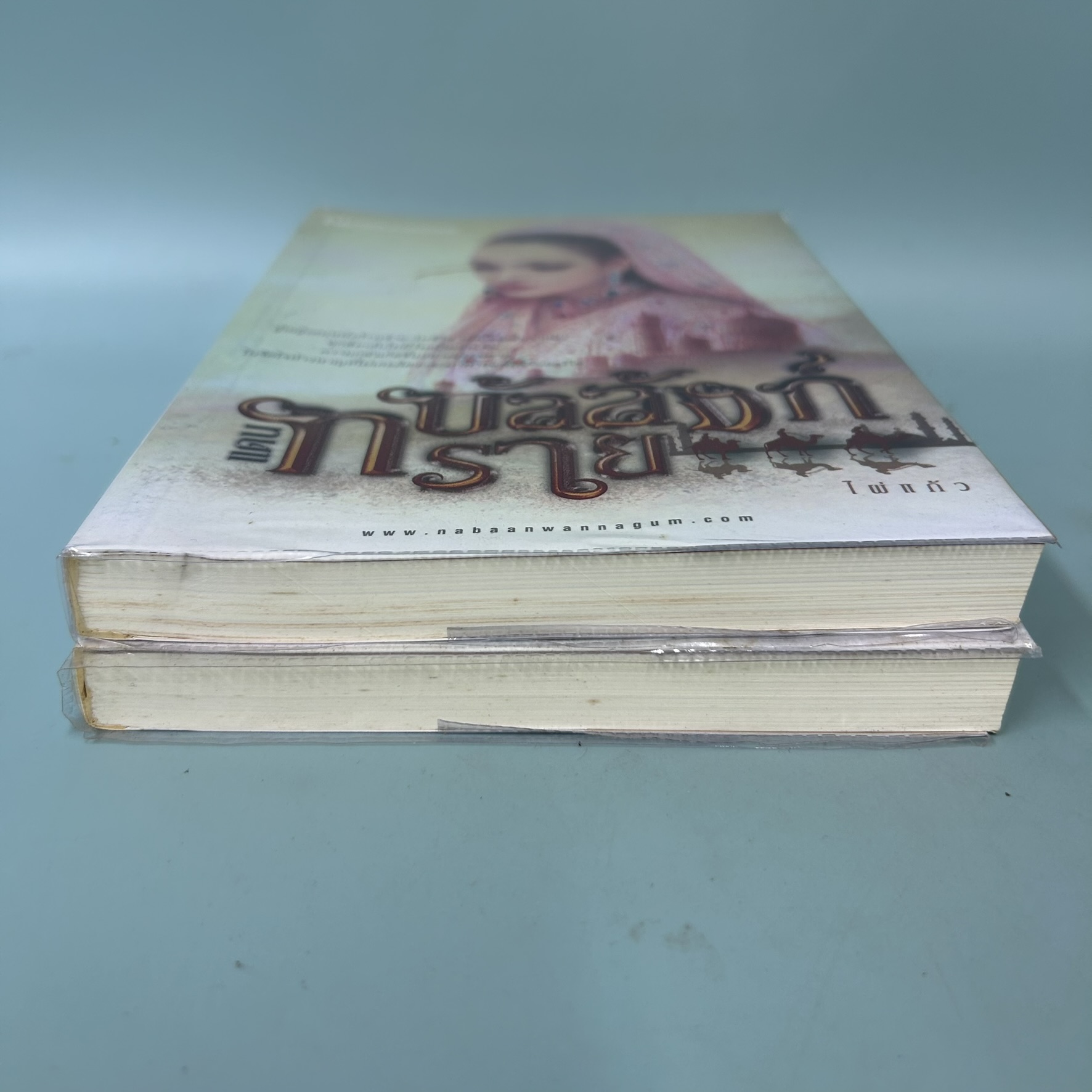 บัลลังก์แดนทราย เล่ม 1-2 จบ / มือสอง / ไผ่แก้ว / สำนักพิมพ์ ณ บ้านวรรณกรรม / วรรณกรรม