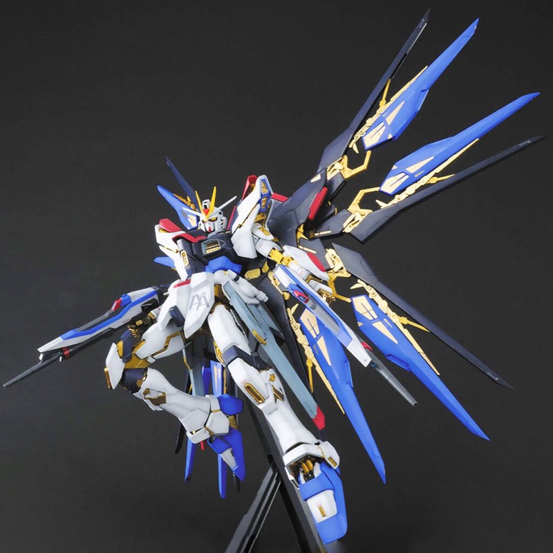 PG BANDAI ZGMF-X20A Strike Freedom Gundam
