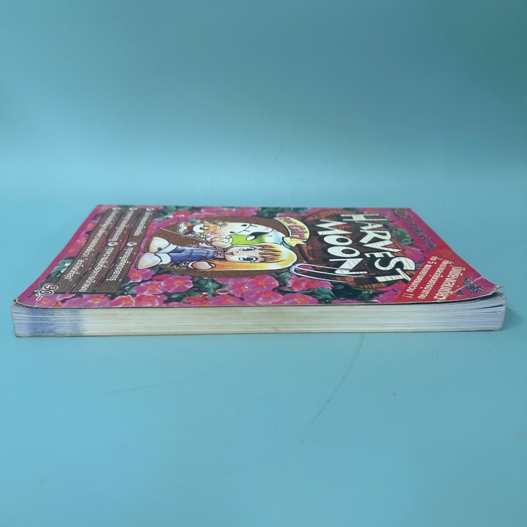 บทสรุปเกมส์ Harvest Moon for Girl PS1 (มือสอง)