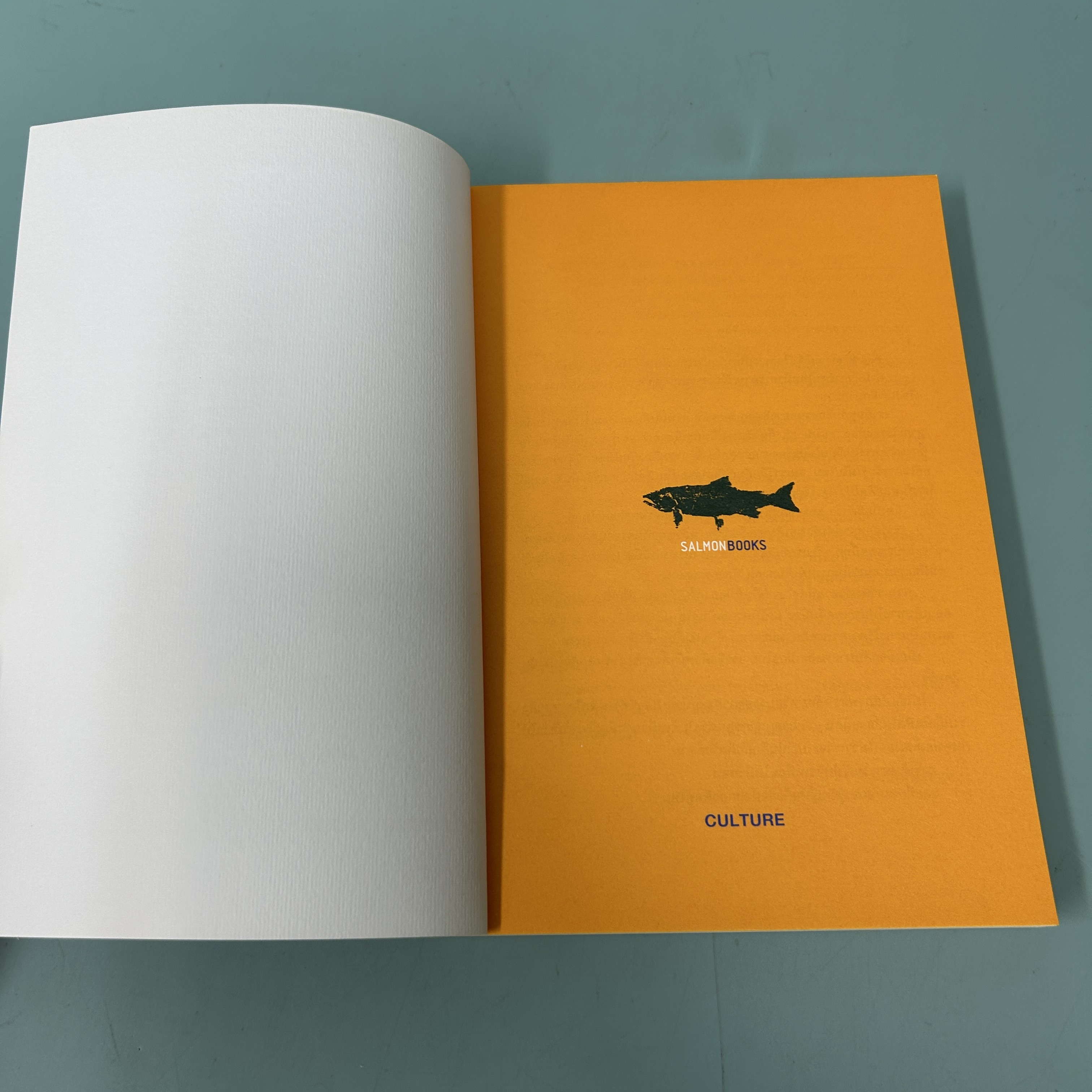 ย่องเบาเข้าญี่ปุ่น / มือสอง / โตมร ศุขปรีชา / Salmon / ประวัติศาสตร์