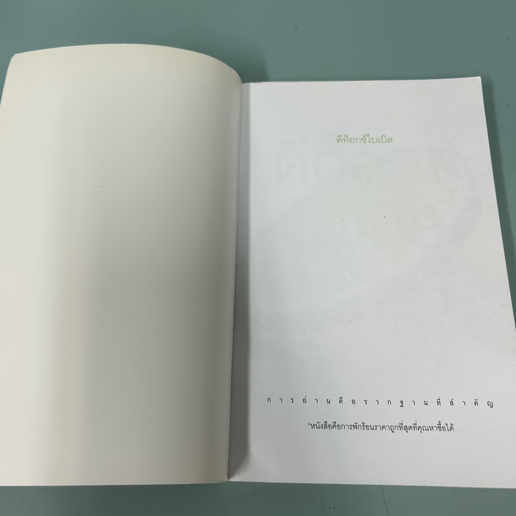 ดีท็อกซ์ไบเบิล / มือสอง / ชาร์เมน แยบส์ลีย์ / Amarin Health / สุขภาพและความงาม