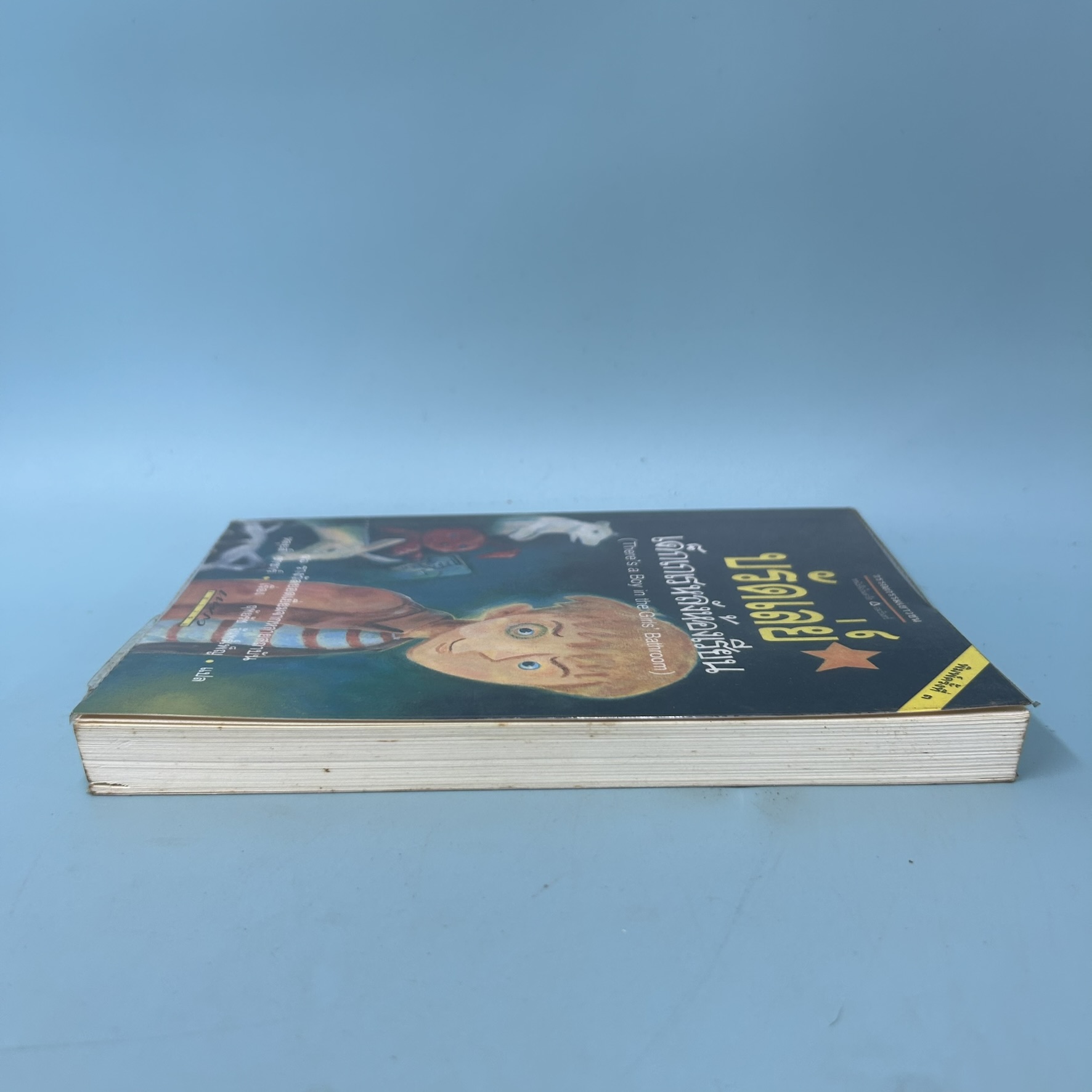 บรัดเล่ย์ เด็กเกเรหลังห้องเรียน / หลุยส์ ซัคเกอร์ / มือสอง / อมรินทร์ / วรรณกรรมแปล
