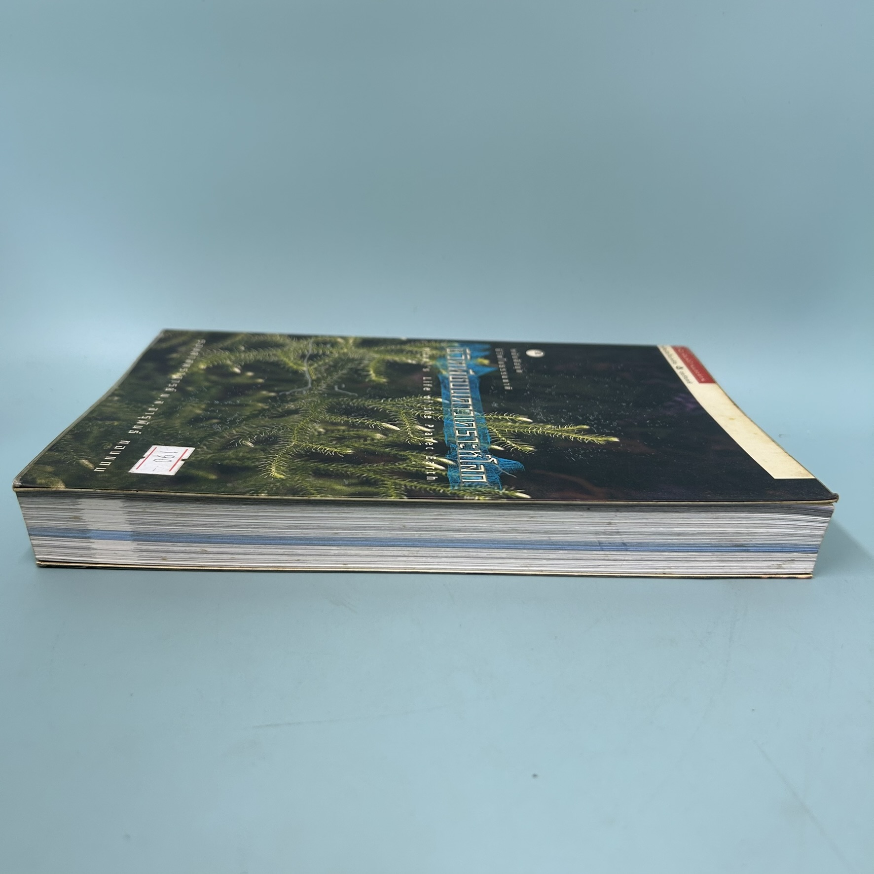 ชีวิตพืชบนดาวเคราะห์โลก / มือสอง / รองศาสตราจารย์ ม.ล.จารุพันธ์ ทองแถม / สำนักพิมพ์บ้านและสวน / หนังสือการเกษตร ป่าไม้