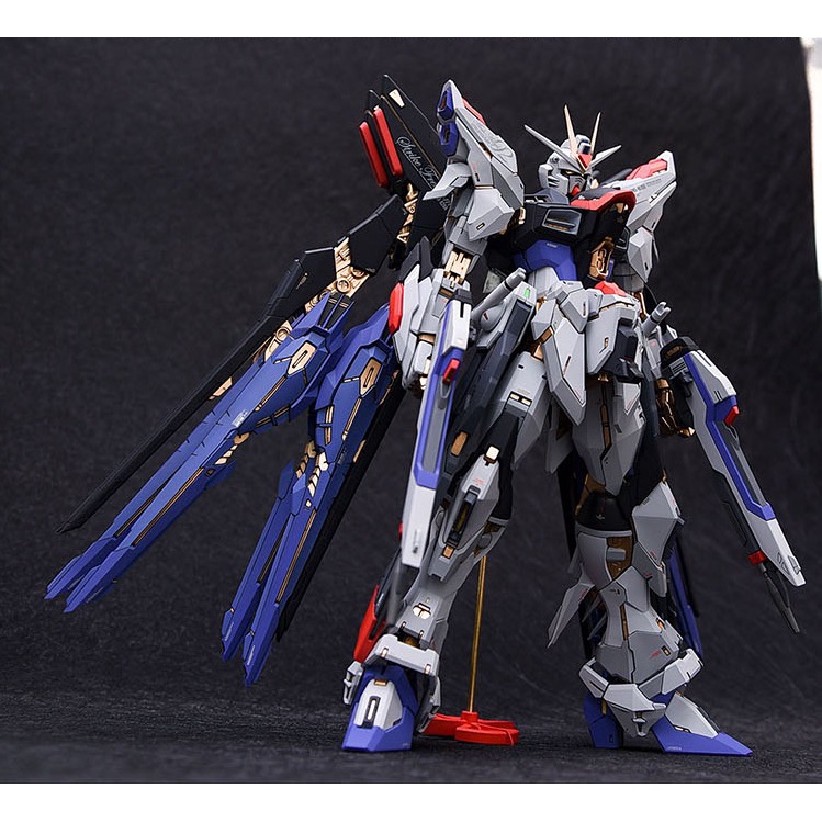 MG Gundam Strike Freedom Resin Convension Fortune Meow Studio