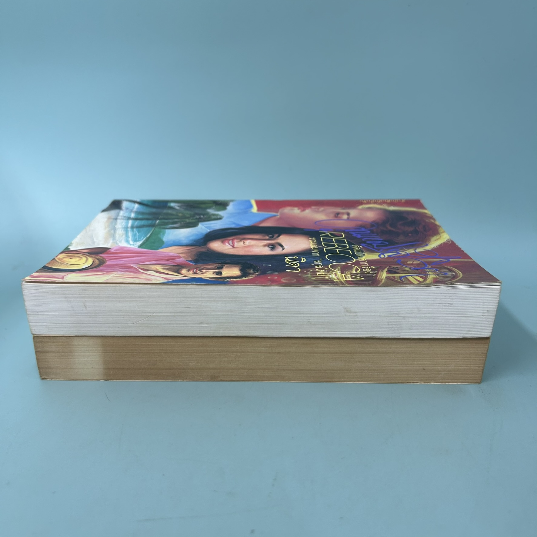 ชุด คุณหญิงสีวิกา เล่ม 1-2 จบ / มือสอง / นิดา / สำนักพิมพ์ หมึกจีน / วรรณกรรม