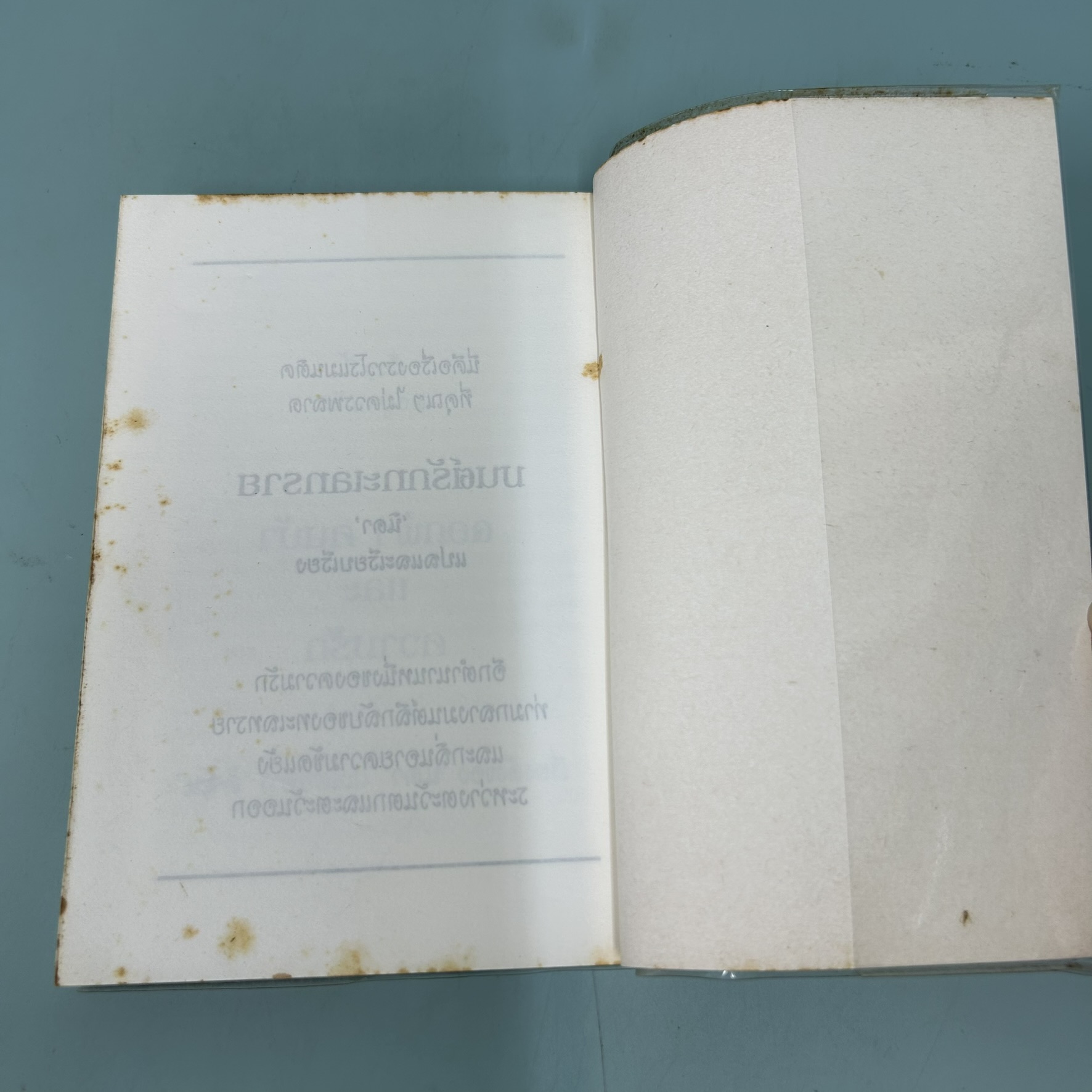 สกุณาคืนรัง / มือสอง / Joan Overfield / สำนักพิมพ์หมึกจีน / นิยายแปล นิยายโรแมนติก