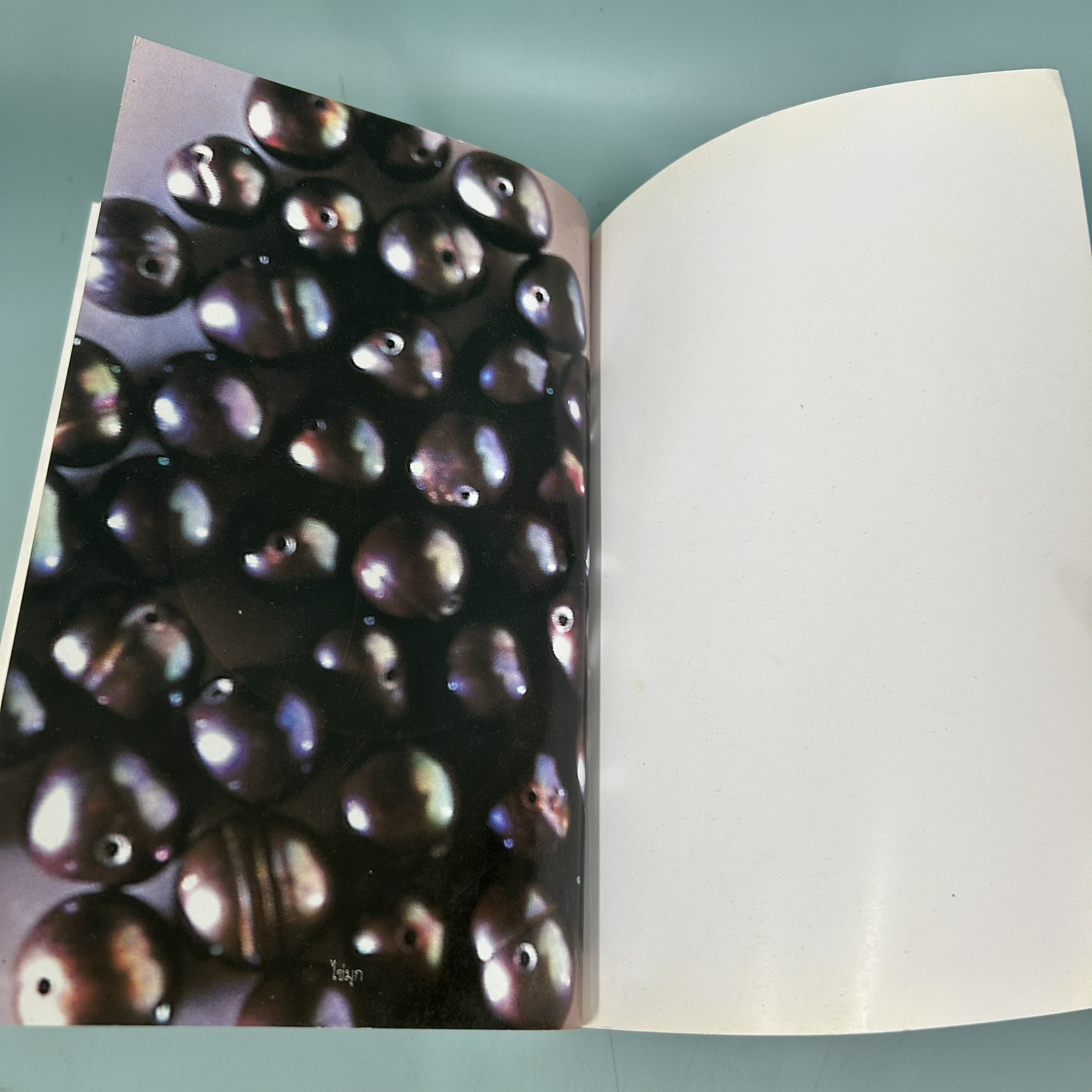 เปิดอกแม่ค้าพลอย / มือสอง / มณิขจิต / สำนักพิมพ์ มติชน / บทความ ธุรกิจ