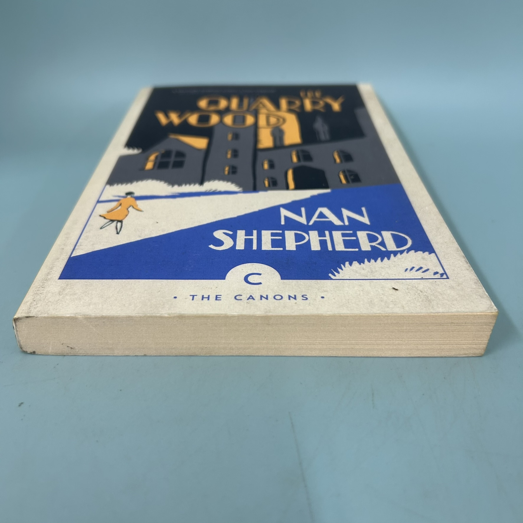 The Quarry Wood / Pre-Owned / Nan Shepherd / Fiction English