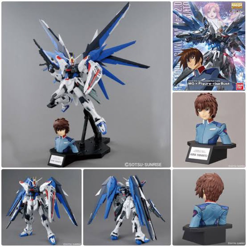 MG BANDAI ZGMF-X10A Gundam Freedom 2.0 x Figure Rise Bust Kira Yamato