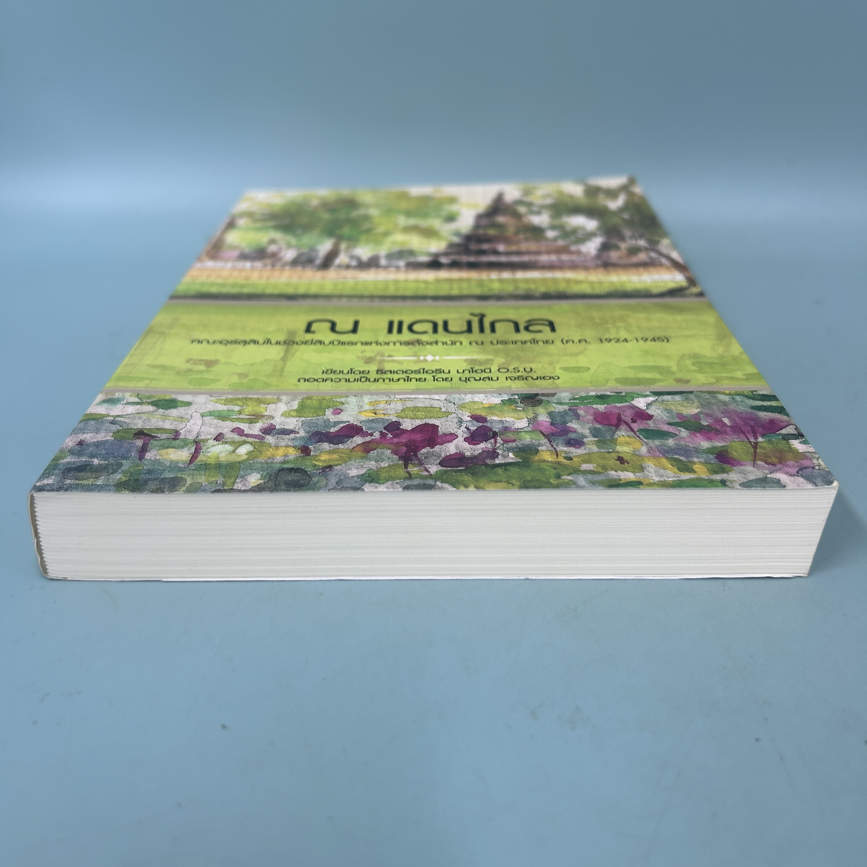 ณ แดนไกล / มือสอง / ซิสเตอร์ไอรีน มาโฮนี / คณะอุร์สุลิน / ประวัติศาสตร์