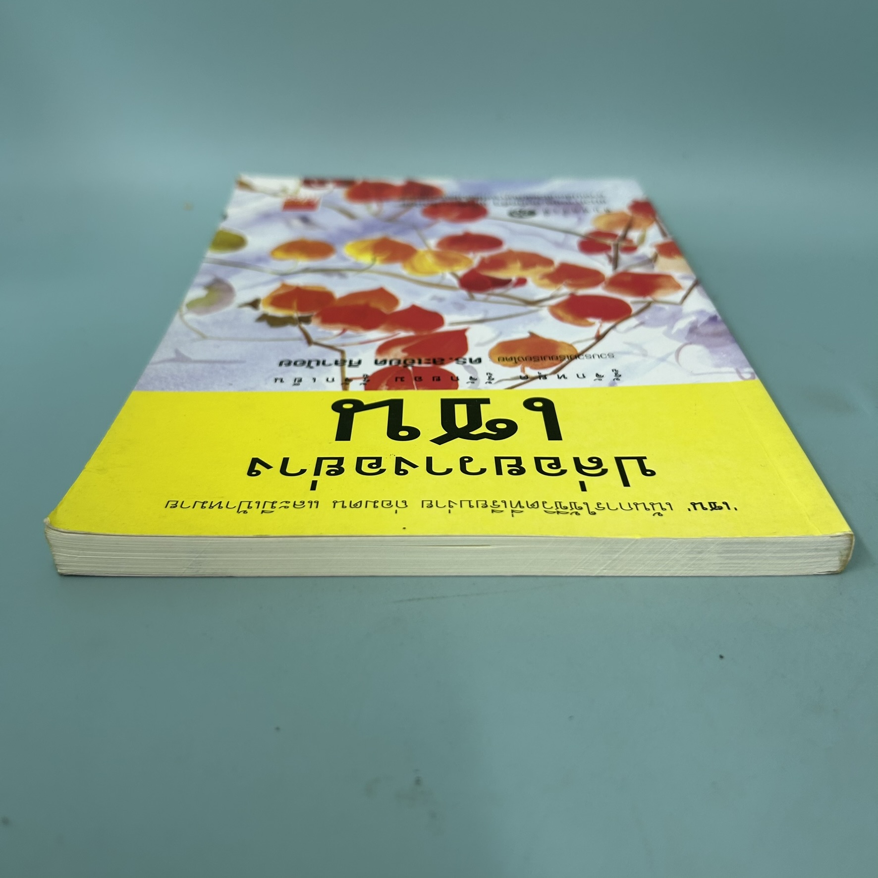 ปล่อยวางอย่างเซน / มือสอง / ละเอียด ศิลาน้อย / สำนักพิมพ์ My 108 idea / ธรรมะ ศาสนา และปรัชญา