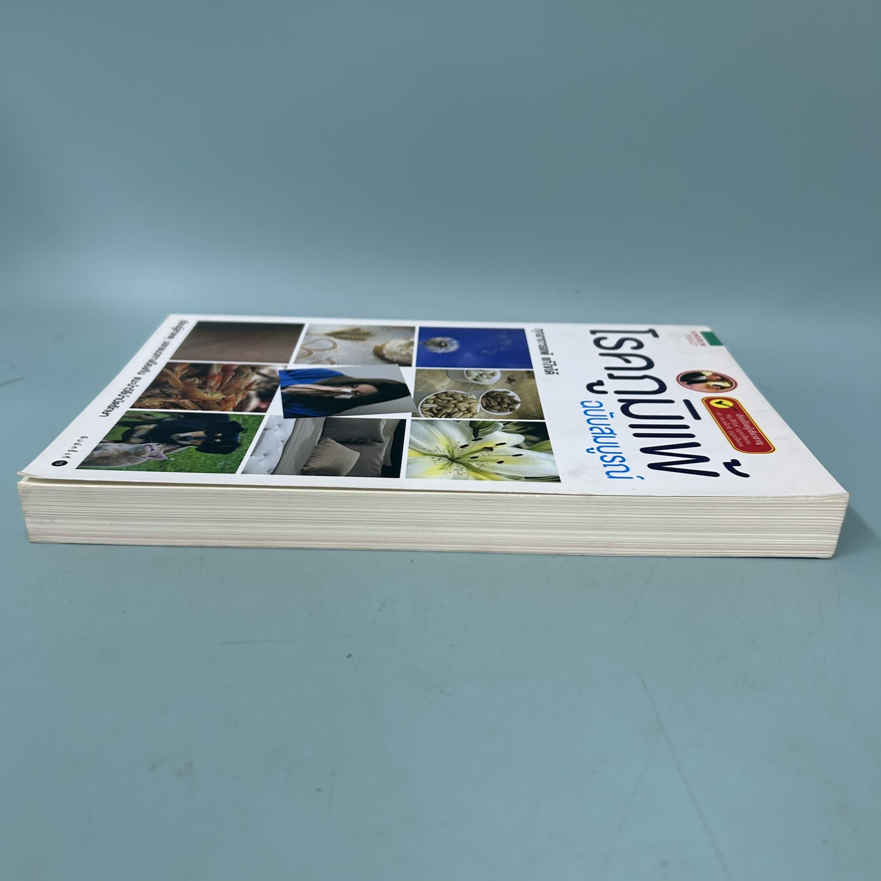 โรคภูมิแพ้ ฉบับสมบูรณ์ / มือสอง / พญ.สิรินันท์ บุญยะลีพรรณ, ผศ.นพ.เฉลิมชัย บุญยะลีพรรณ / สุขภาพและความงาม