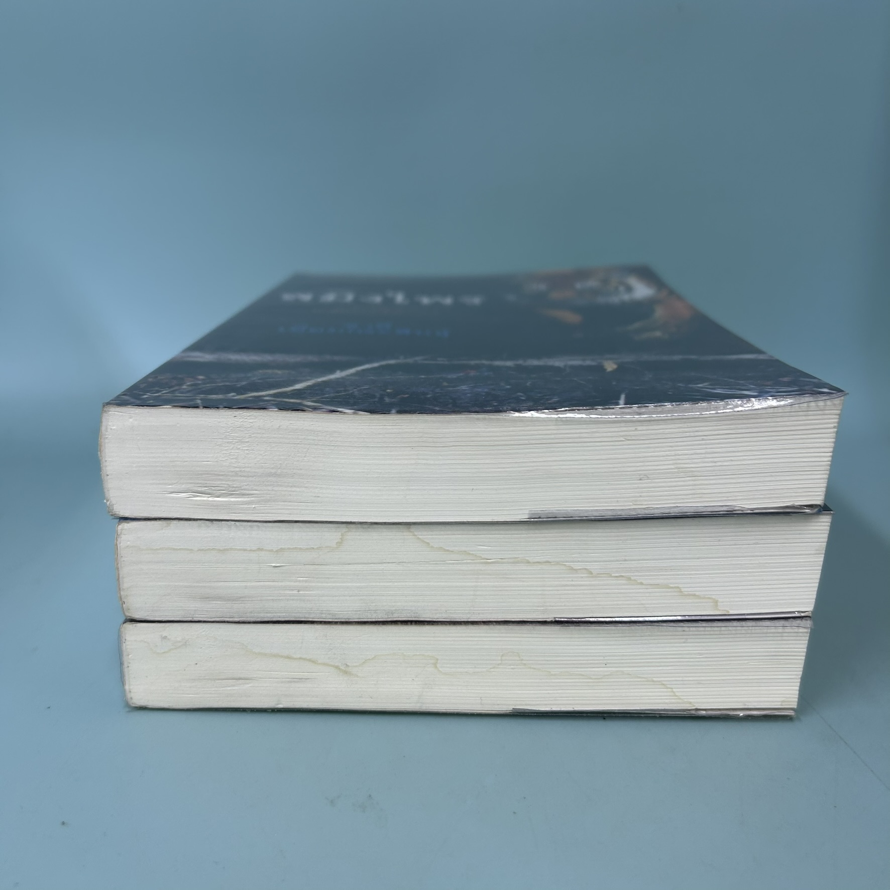 ชุดสมิงไพร - สมิงไพร ไพรมัจจุราช ไพรพยัคฆ์ / ชาลี เอี่ยมกระสินธุ์ / มือสอง / วรรณกรรม (ได้ 3 เล่ม)