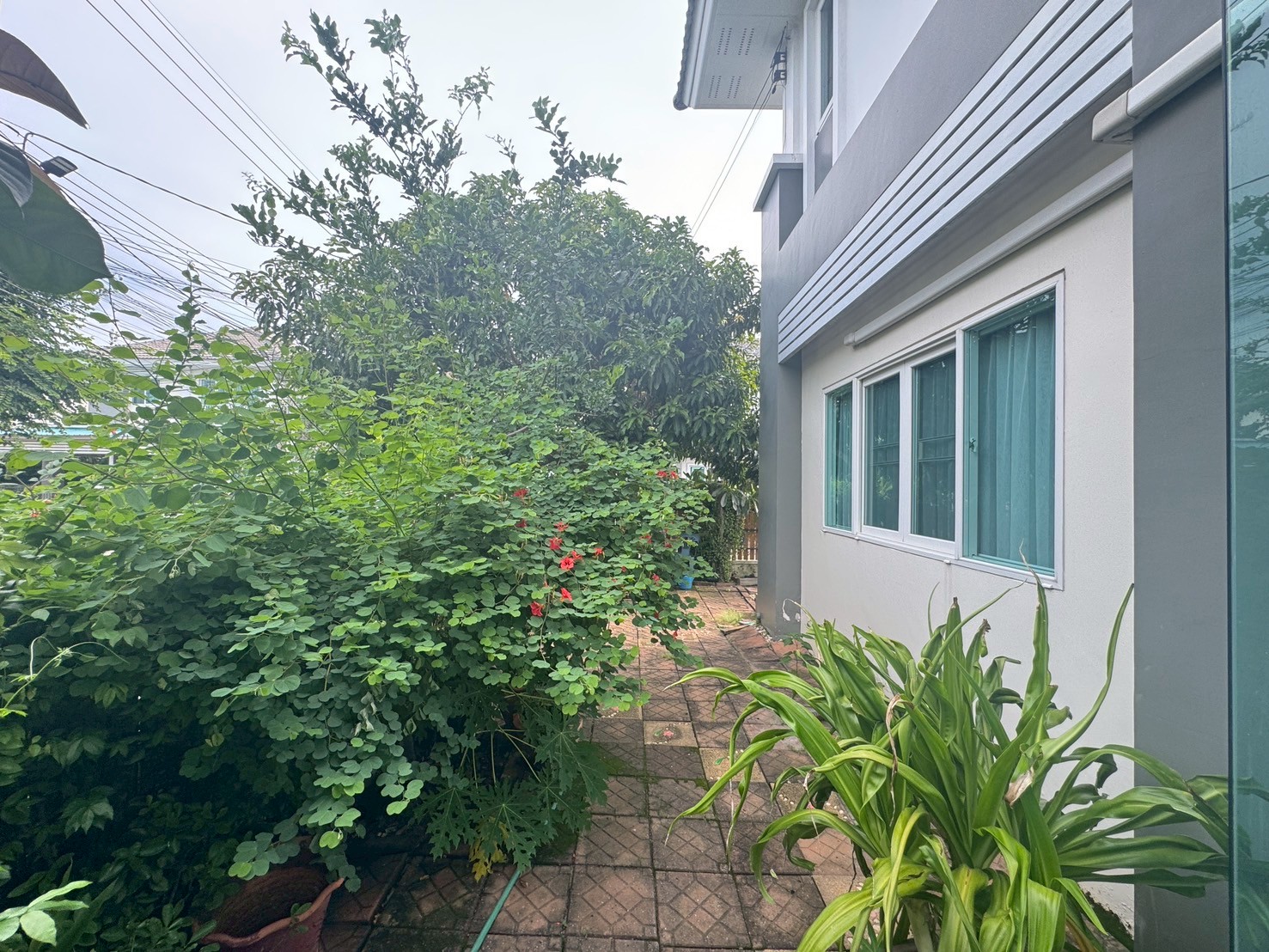 ขายบ้านเดี่ยว 2 ชั้น (หลังมุม) หมู่บ้านคุณาลัยพราว Kunalai Proud Baan Kluay-Sai Noi ทำเลดี เดินทางสะดวก บรรยากาศร่มรื่น เหมาะสำหรับอยู่อาศัย 📐 เนื้อที่ 57.06 ตร.ว. 🛏 4 ห้องนอน+1ห้องชั้นลอย 🛁 3 ห้องน้ำ