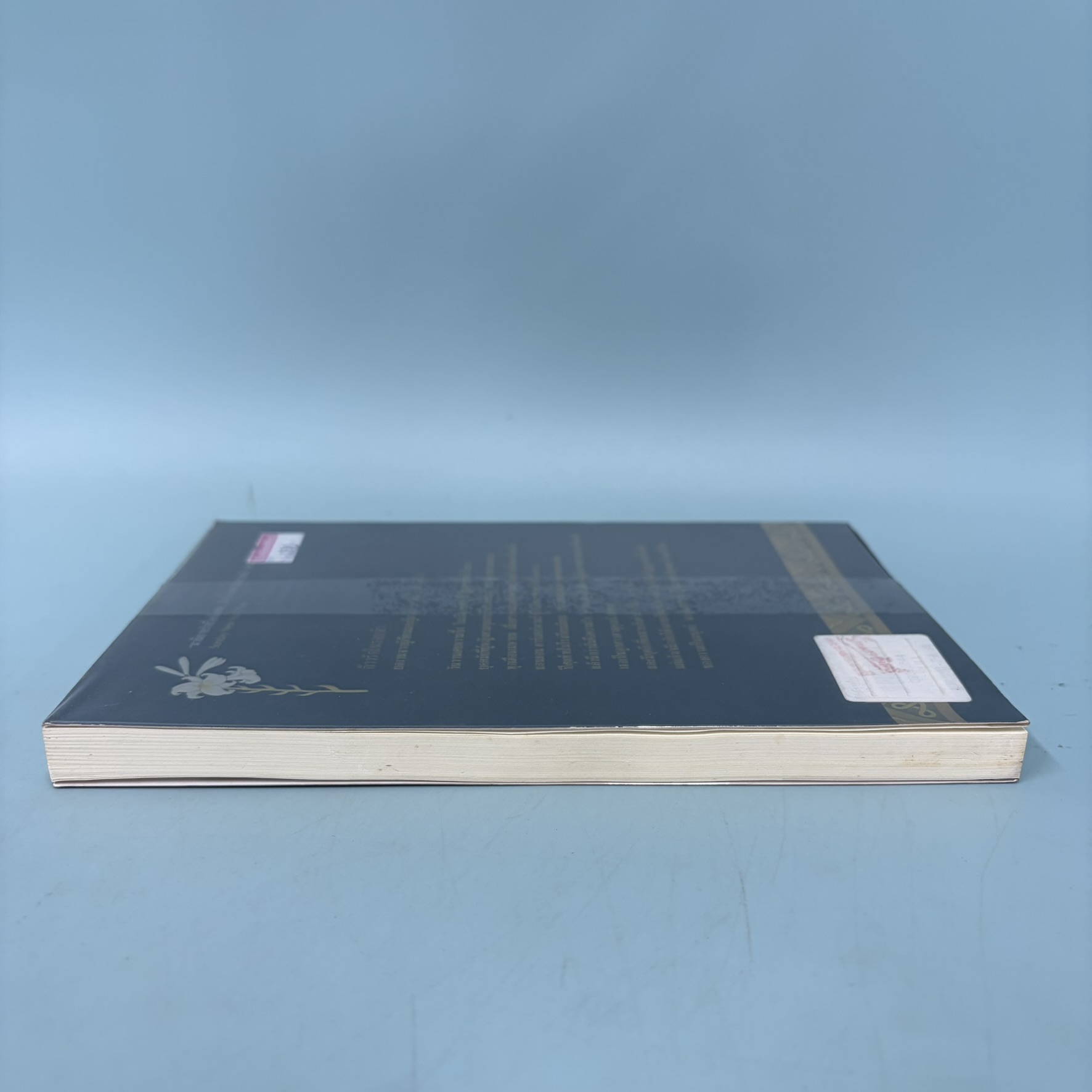 ก้าวรักในรอยจำ / มือสอง / Nichalos Sparks / สำนักพิมพ์ มติชน / นิยายโรแมนติก