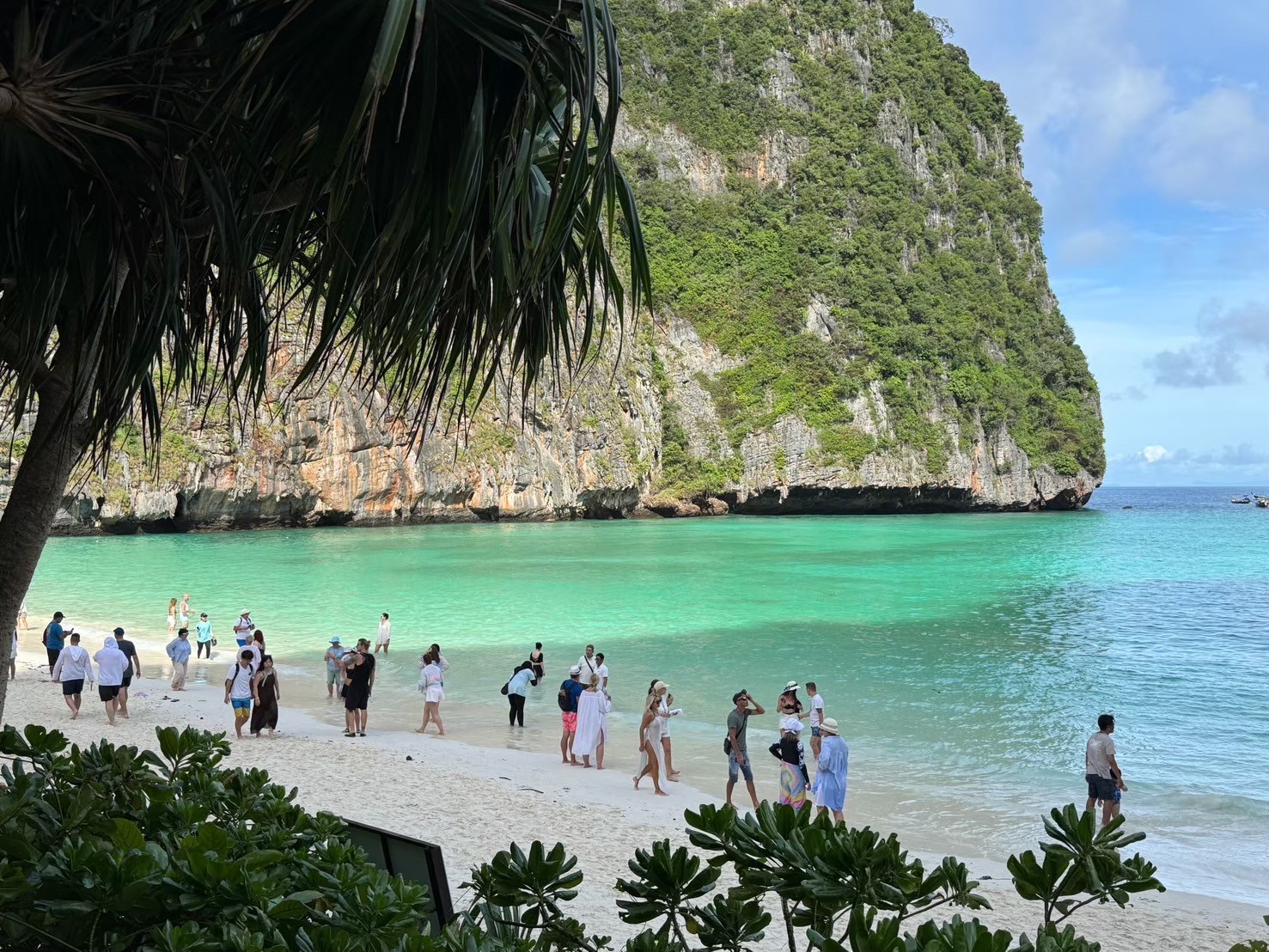 Phi Phi, Maya Bay & Bamboo Island Adventure Day Trip by Premium Speed Boat