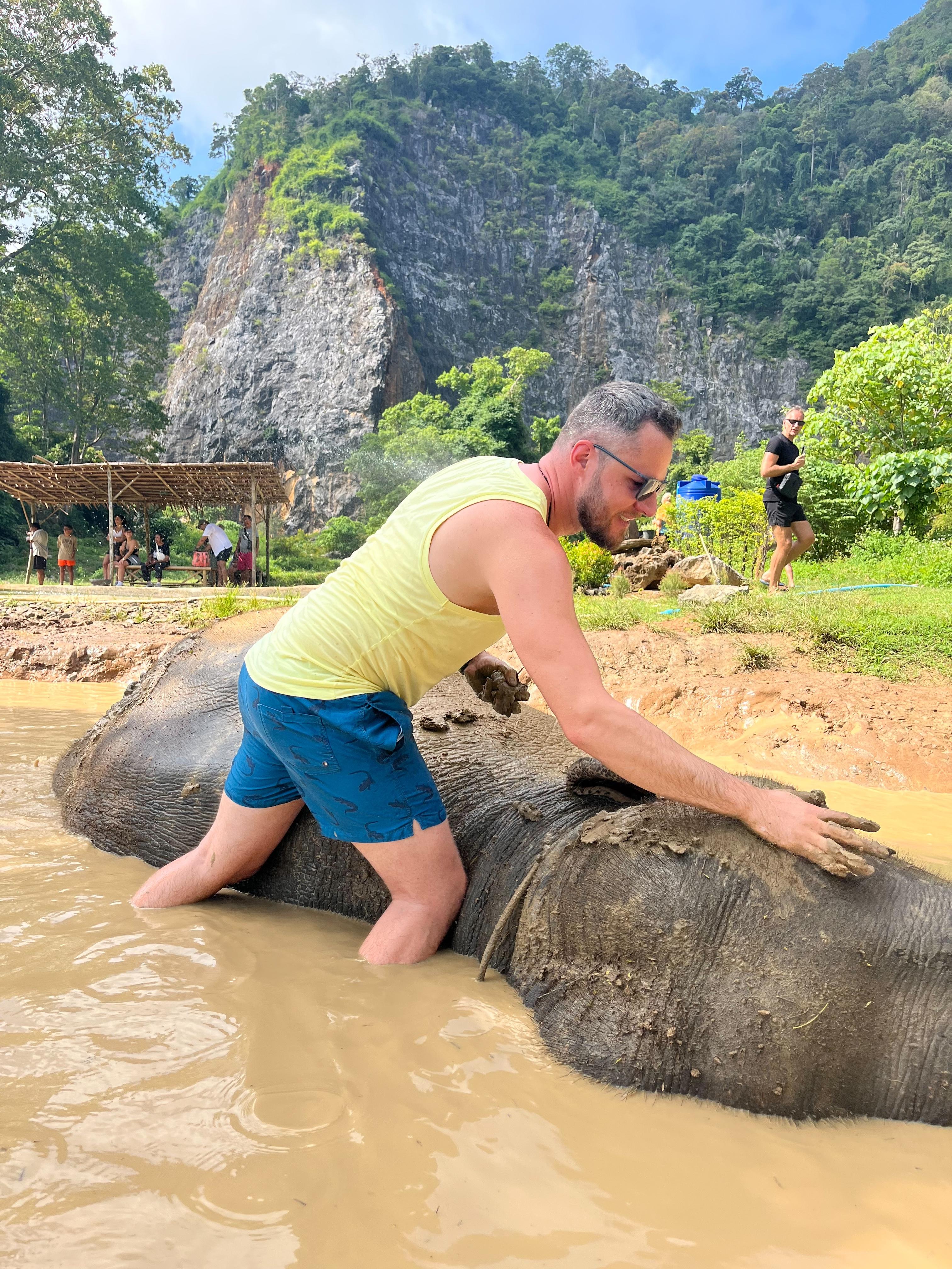 🌿 Program C: Elephant Wellness Experience 🕊️ Feed – Walk – Bathe – Spa – Thai Herbal Learning