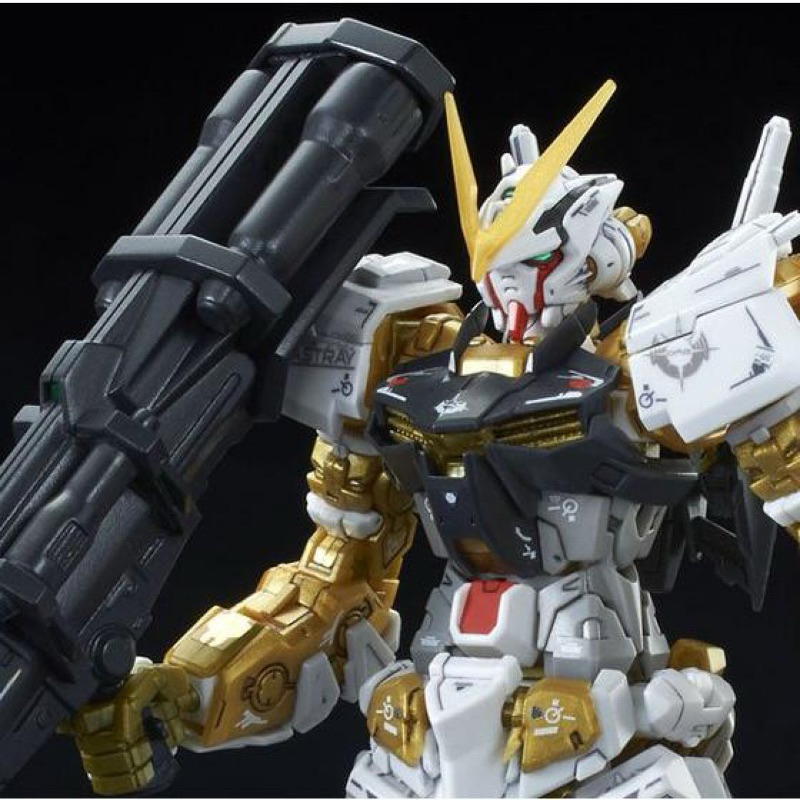 RG P BANDAI Gundam Astray Gold Frame