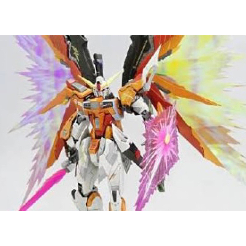 MG 1/100 Gundam Destiny Heine ver MB