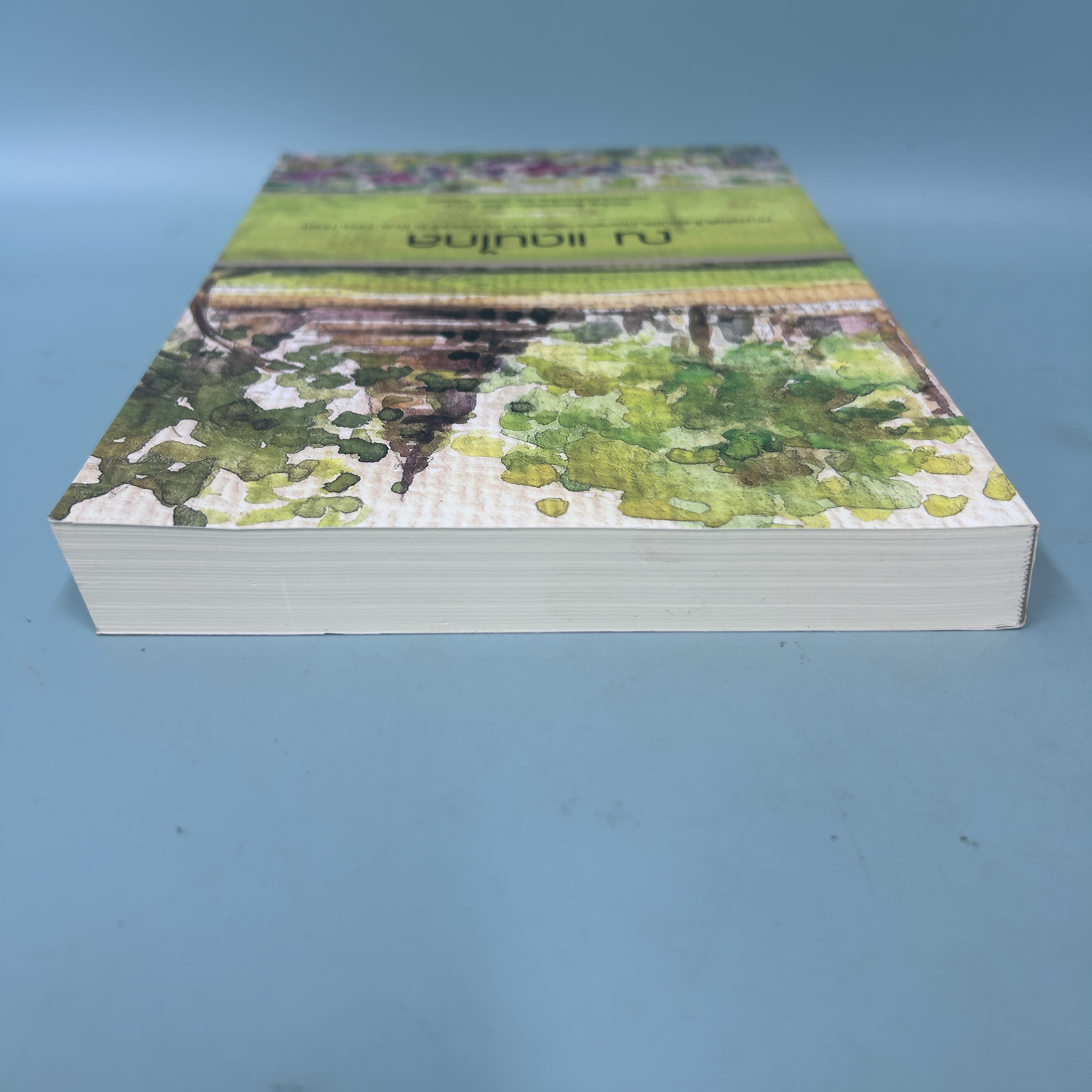 ณ แดนไกล / มือสอง / ซิสเตอร์ไอรีน มาโฮนี / คณะอุร์สุลิน / ประวัติศาสตร์