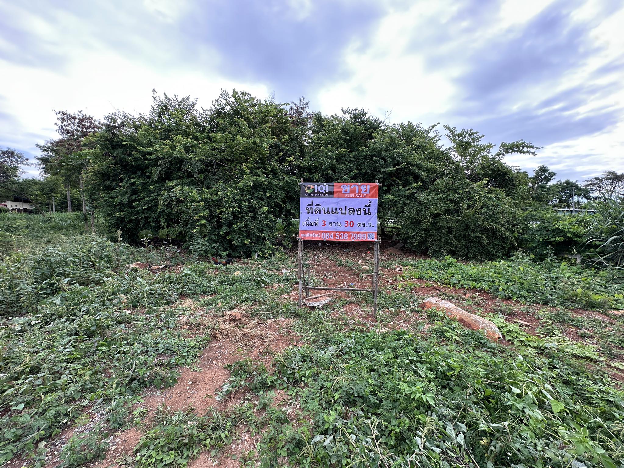 ขายที่ดินเปล่า ถนนธนะรัชต์ อำเภอ.ปากช่อง