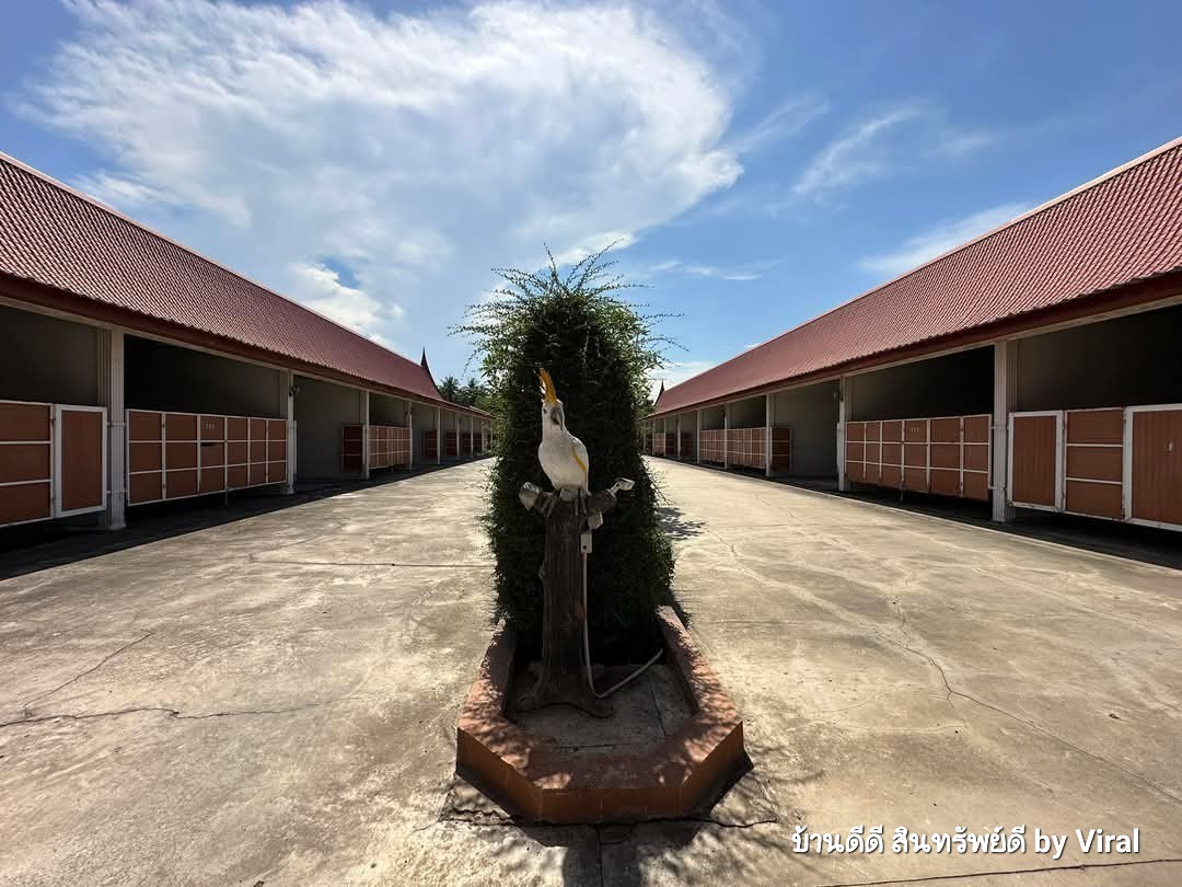 ขายรีสอร์ท ดำเนินสะดวก ราชบุรี “เรือนไทย รีสอร์ท” ขนาดที่ดิน 8 ไร่ 3 งาน 93 ตร.ว. 99 ล้าน (ราคาต่อรองได้พร้อมจบ)