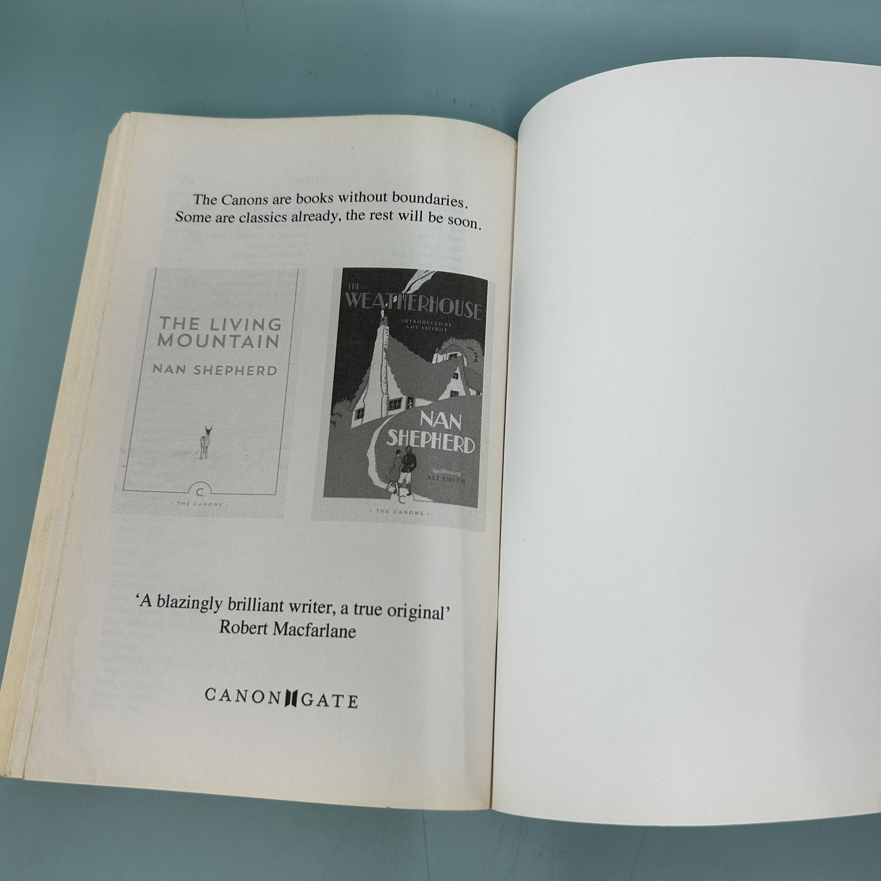 The Quarry Wood / Pre-Owned / Nan Shepherd / Fiction English