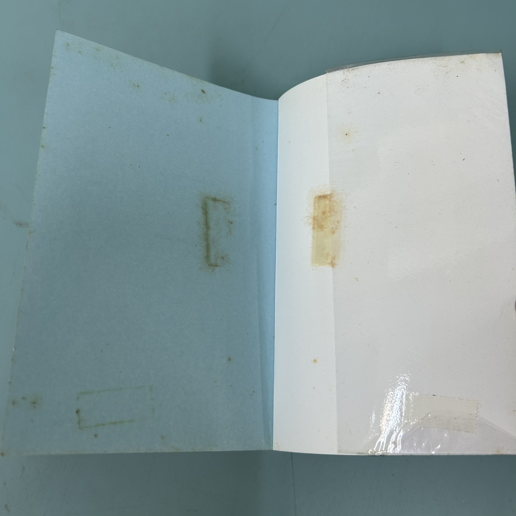 สาระภาพ Portrait of My Life / มือสอง / นิ้วกลม / สำนักพิมพ์ koob / รวมเรื่องสั้นเกี่ยวกับภาพถ่าย