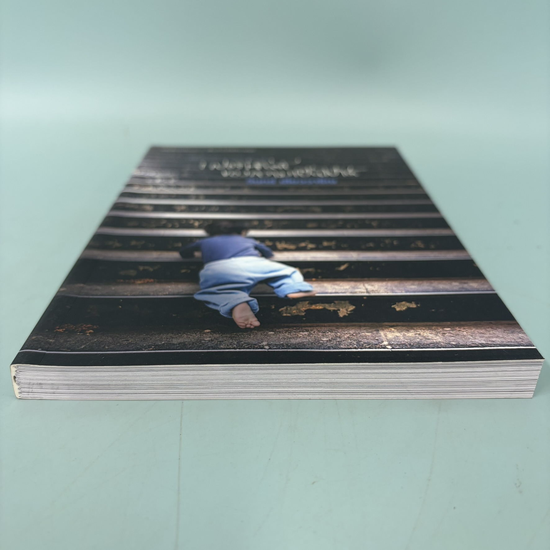 1 เปอร์เซ็นต์ ของความเป็นไปได้ / มือสอง / วินทร์ เลียววาริณ / สำนักพิมพ์ 113 / วรรณกรรม , เรื่องสั้น