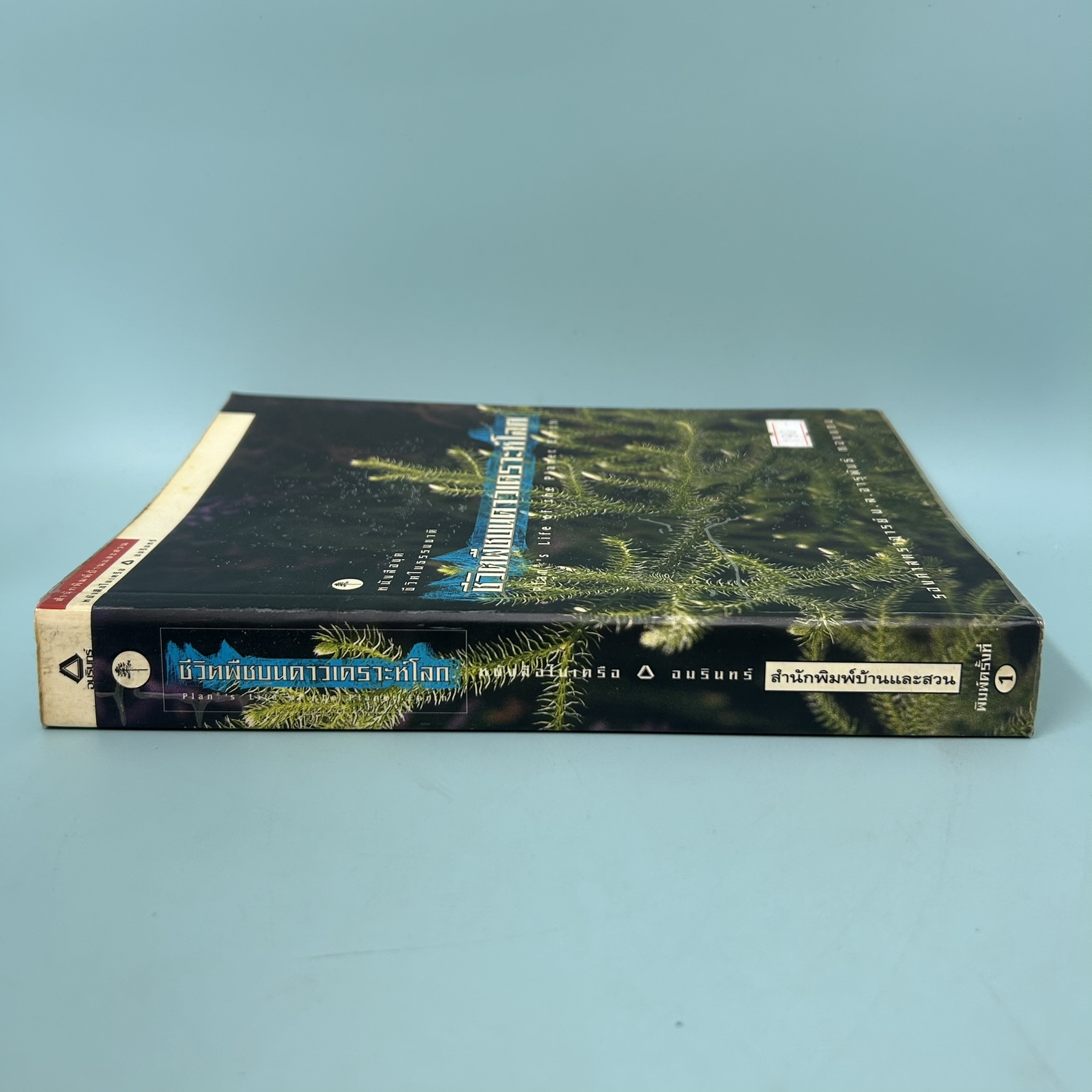 ชีวิตพืชบนดาวเคราะห์โลก / มือสอง / รองศาสตราจารย์ ม.ล.จารุพันธ์ ทองแถม / สำนักพิมพ์บ้านและสวน / หนังสือการเกษตร ป่าไม้