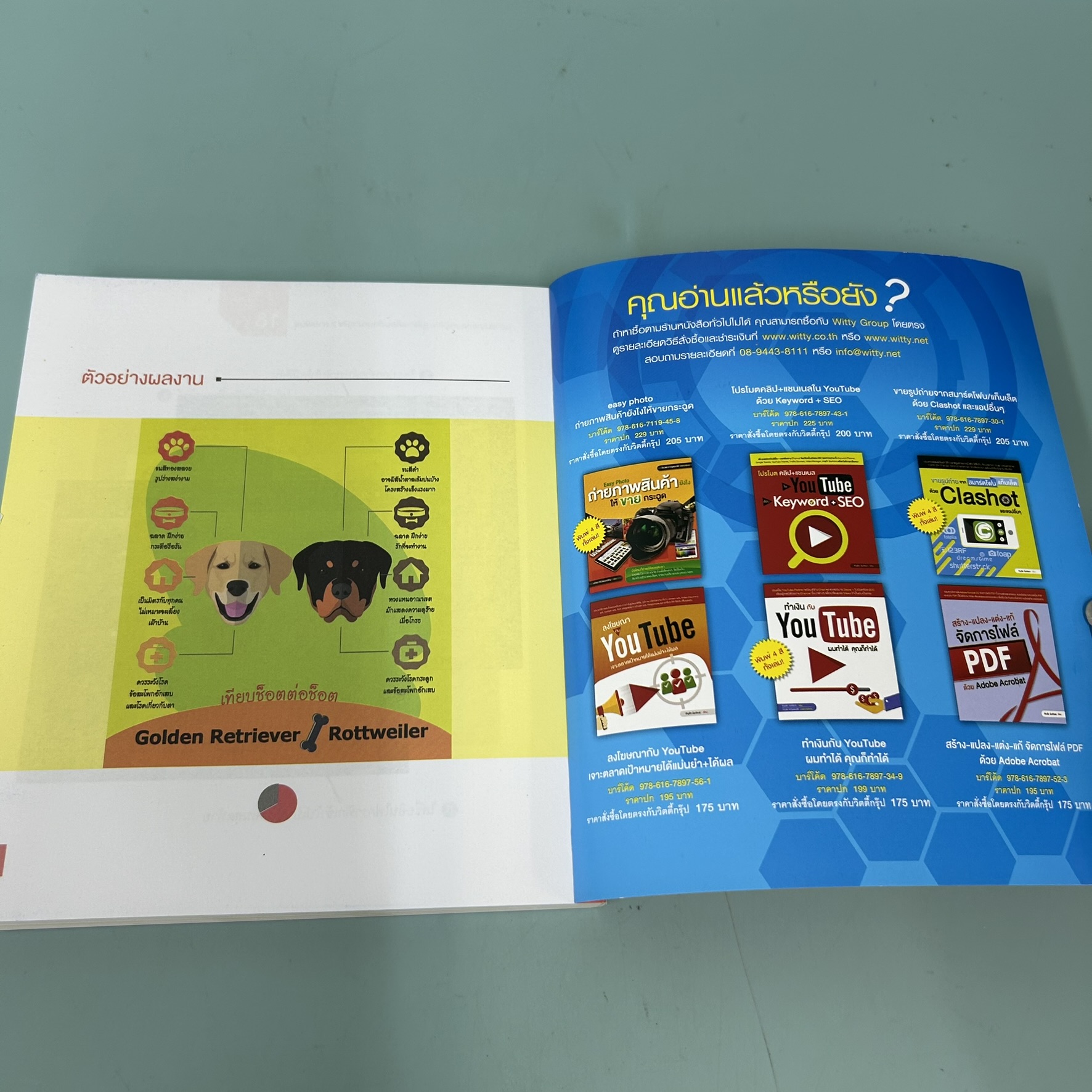 INFOGRAPHIC Design / มือสอง / ธัญธัช นันท์ชนก / สำนักพิมพ์วิตตี้กรุ๊ป / การออกแบบกราฟิก