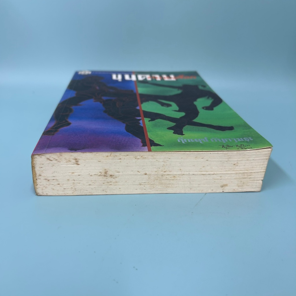 ขุนดาบทนายเลือก ... รองศาสตราจารย์ คึกเดช กันตามระ (มือสอง) นิยาย วรรณกรรม