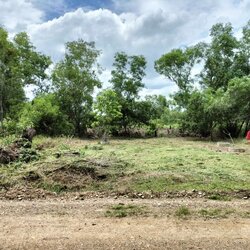 🏡 ขายที่ดินคลองหก ถมแล้ว แปลงสวย ทำเลดี ราคาถูกที่สุด! 🏡 🌿 ที่ดินเหมาะสร้างบ้าน, โกดัง, ทำสวน หรือซื้อเก็บเก็งกำไร 🌿 🎉 ขนาด 100 ตร.ว.