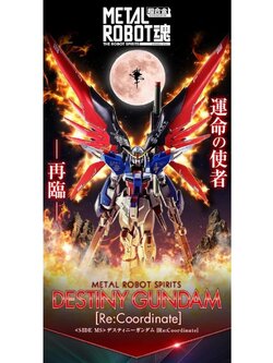 Metal Robot Spirits <SIDE MS> PREMIUM BANDAI Destiny Gundam [ReCoordinate]