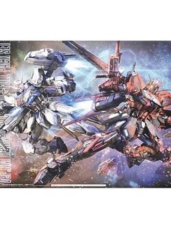MG BANDAI Aile Strike Gundam Ver.RM (China Red ver) + Full Pack Set [LIMITED ITEM]