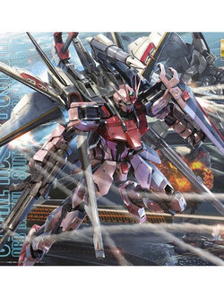 MG BANDAI Gundam Strike Rouge OOTORI ver RM (SEED Series)