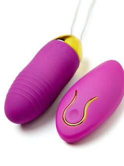 ไข่สั่นเพนกวิ้นไร้สาย(ชาร์ตแบต)