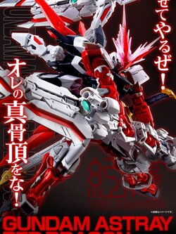 [PRE-ORDER / ARP 69] RG PREMIUM BANDAI MBF-P02 Gundam Astray RED DRAGON