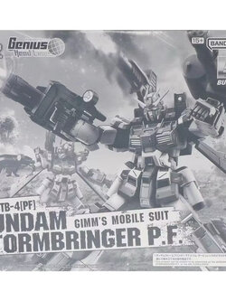 MG PREMIUM BANDAI RX-78TB-4[PF] Gundam Stormbringer P.F.
