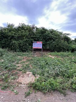 ขายที่ดินเปล่า ถนนธนะรัชต์ อำเภอ.ปากช่อง