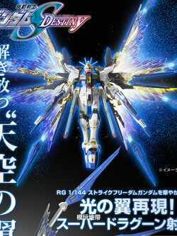 RG PREMIUM BANDAI EXPANSION EFFECT UNIT WING OF THE SKIES for STRIKE FREEDOM GUNDAM