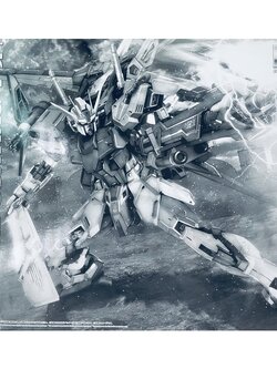 MG PREMIUM BANDAI GAT-X105 Perfect Strike Gundam Special Coating LIMITED