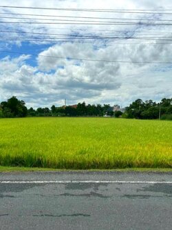 ขายที่ดินแปลงสวย ติดถนนเทศบาลท่าเสร็จ 3 ด้านหลังติดคลองท่าว้า บรรยากาศดี